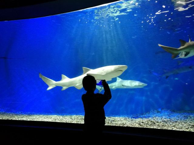 Grandview Aquarium