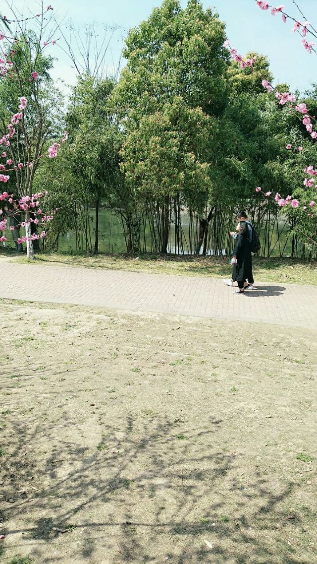 려원