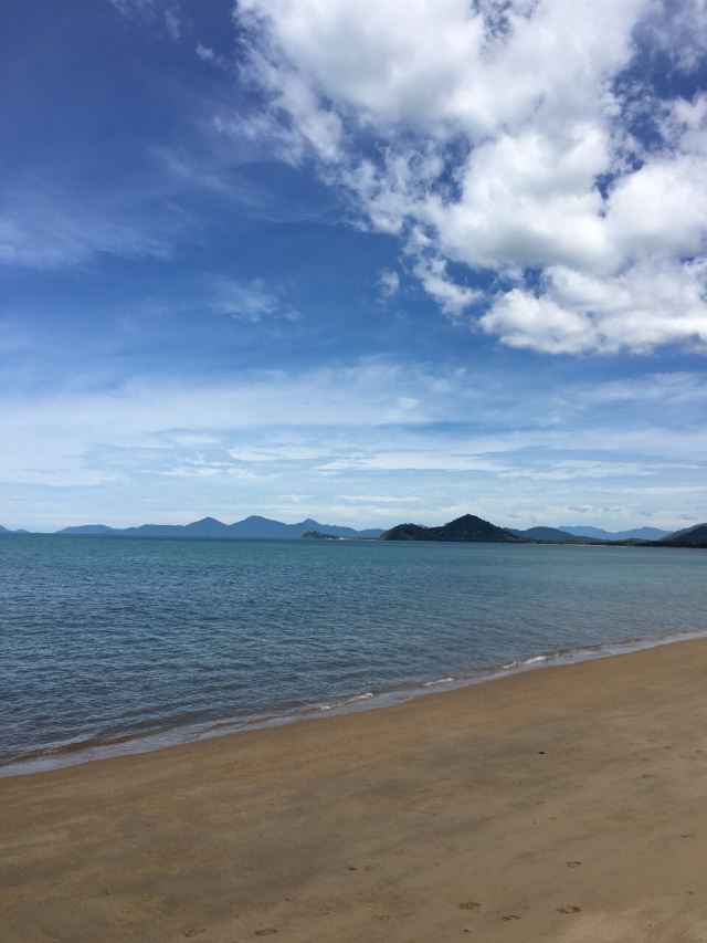 Palm Cove