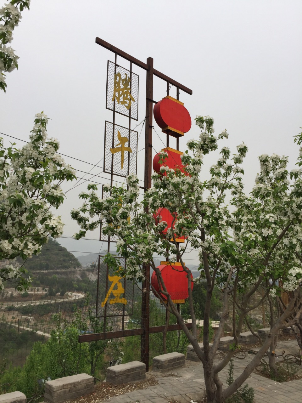 到北京的郊区去踏春