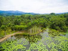 中科院西双版纳热带植物园-勐腊-doris圈圈