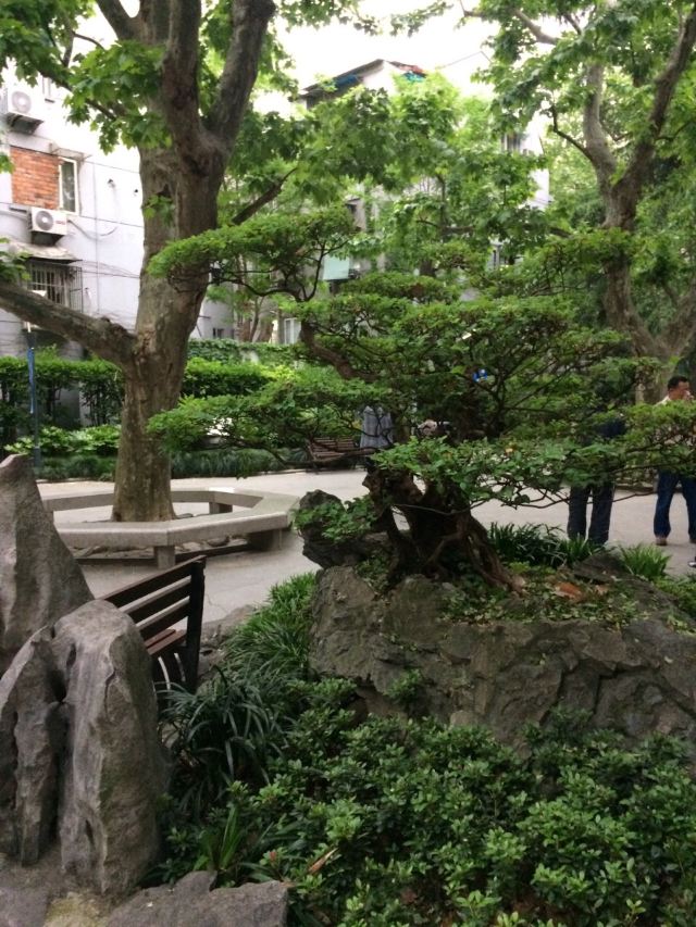 Shaoxing Park