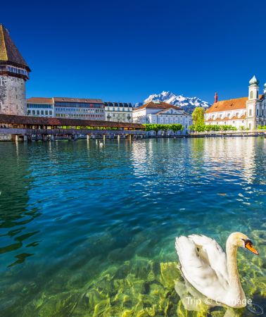 6D5N • Fairy-tale Switzerland - Zurich & Lucerne & Bern & Lausanne & Geneva