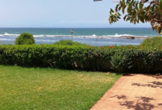 Golden Fish美食图片