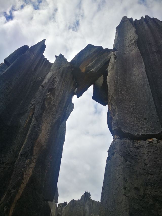 Stone Forest