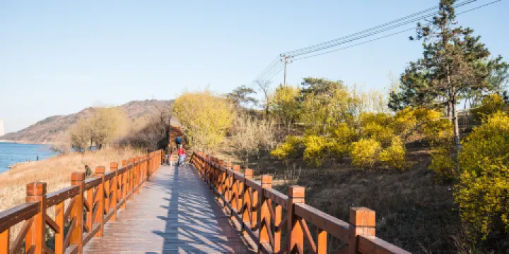 大連西郊國家森林公園