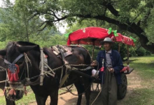 努鲁儿虎山自然保护区景点图片