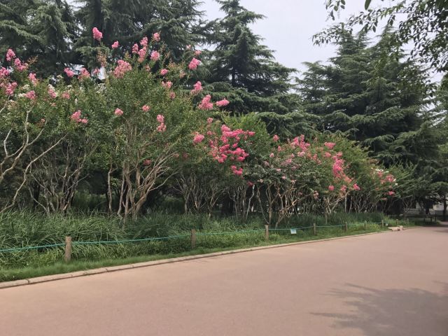 Baihua Park