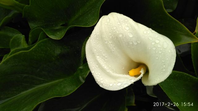 양명산 국립공원