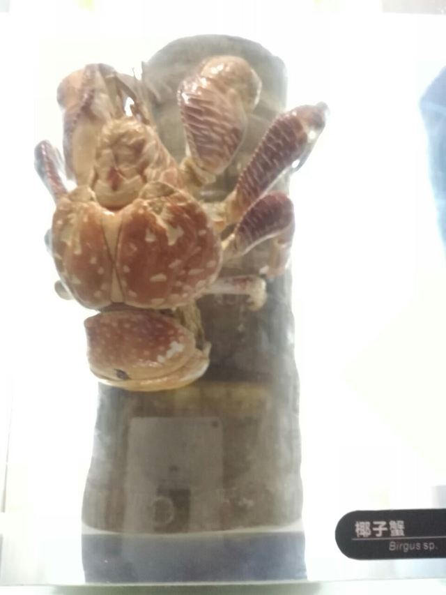 칭다오 해저세계