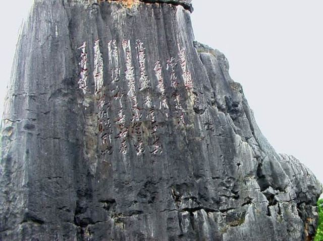 Stone Forest
