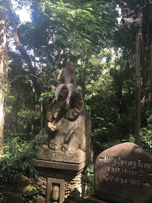 Ubud Monkey Forest