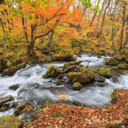 日本青森：奥入濑溪流+八甲田山+十和田湖【中文司机行程可调】