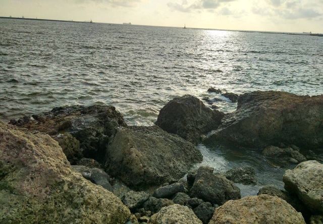 西子灣風景區