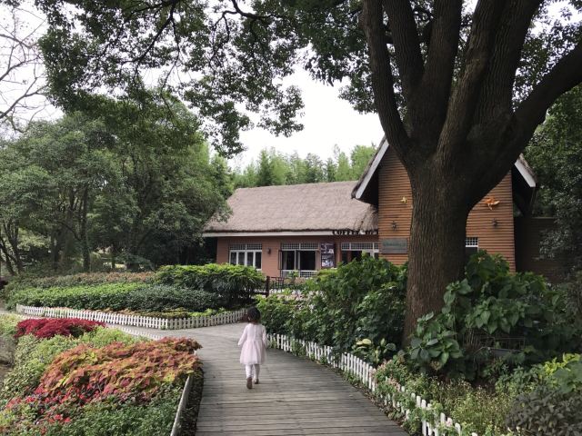 매원