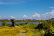 华发水郡省级湿地公园-珠海-doris圈圈