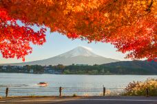 富士山-富士宫市-尊敬的会员