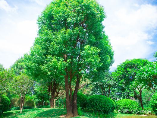 广东花都湖国家湿地公园