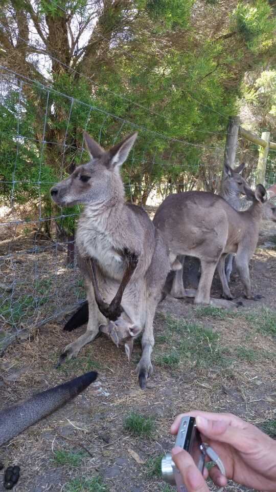 Melbourne Zoo