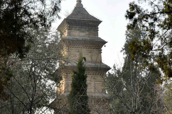 兴教寺塔