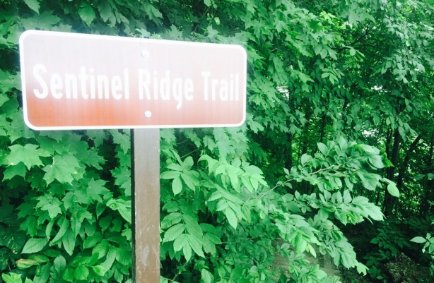 Huckleberry's Restaurant