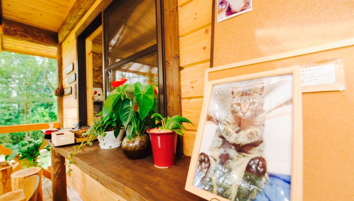 Community Restaurant Mori no Gohanya餐厅图片