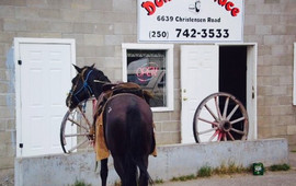 Donna's Place