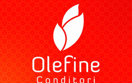 Conditori Olefine Elvegarden