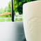 Starbucks Coffee Malera Gifu