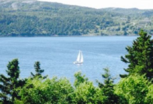 The Tea Garden美食图片