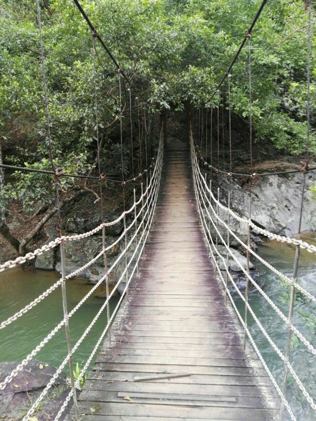 Wuzhishan Tropical Rainforest