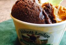 Abbott Lodge Jersey Ice Cream美食图片