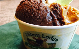 Abbott Lodge Jersey Ice Cream