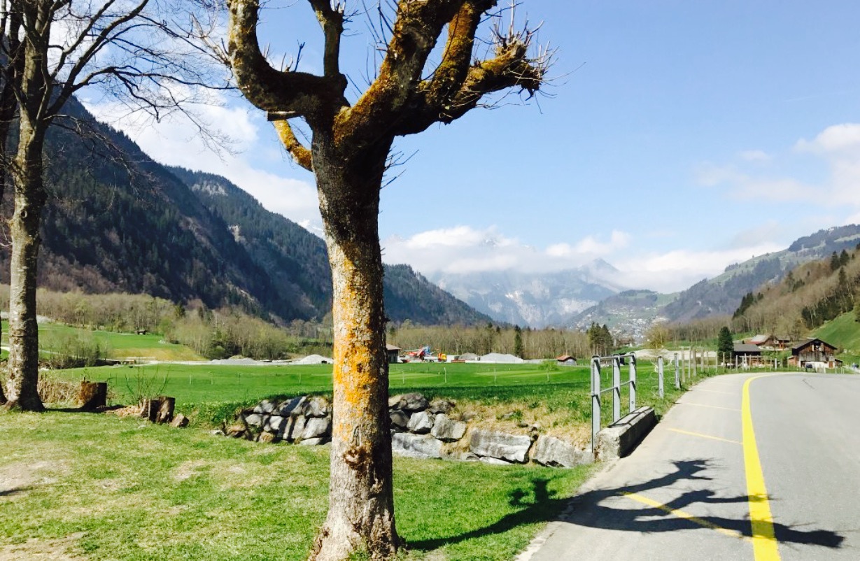 Restaurant Wasserfall餐厅图片