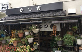 Tonkatsu Restaurant Katsukichi