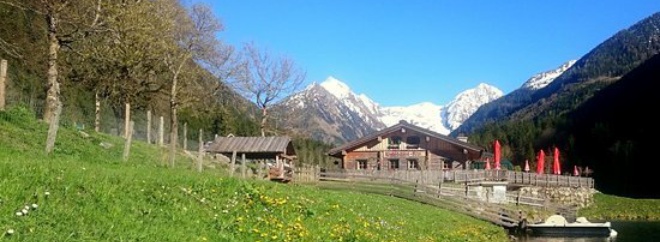 Waldhäuslalm餐厅图片