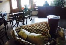 Glacial Coffeehouse美食图片