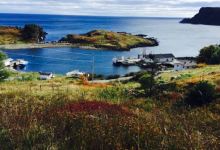 Irish Loop美食图片