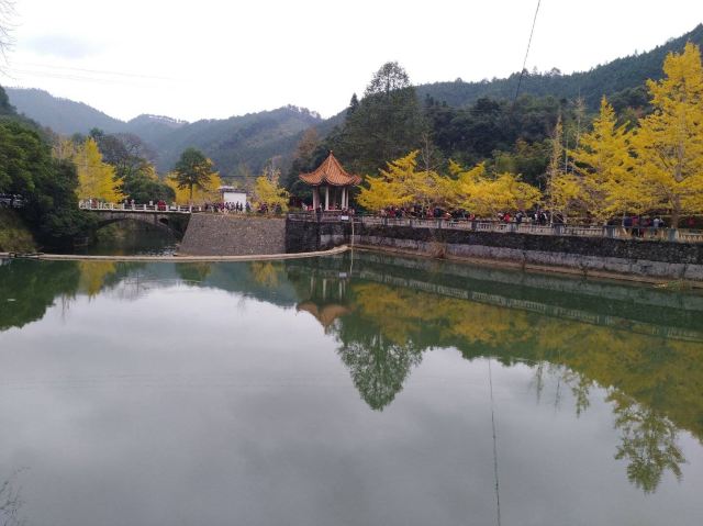 마오쯔펑 린창