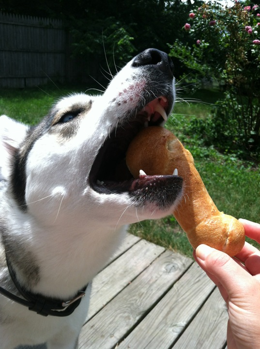 Big Apple Bagels餐厅图片