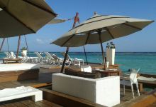 Pelicano Beach Club美食图片