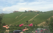 Agriturismo Cascina Vrona餐厅图片