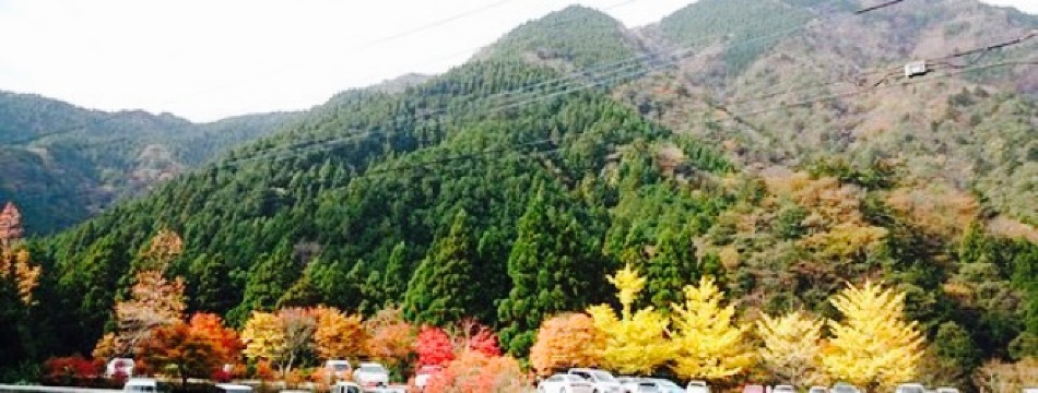 Takanosekyo Restaurant Taira No Sato