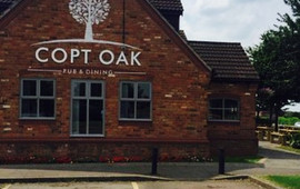 Copt Oak