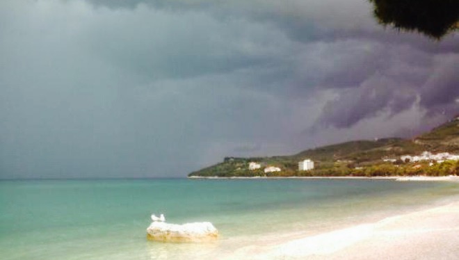 Restaurant Marina餐厅图片