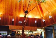 Mountain Pizza & Steakhouse Ltd美食图片