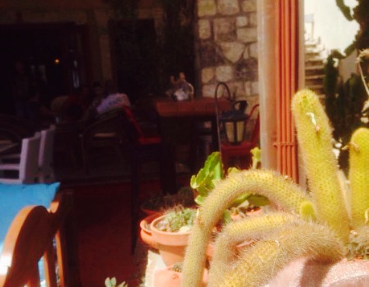 Ionis Cafe餐厅图片