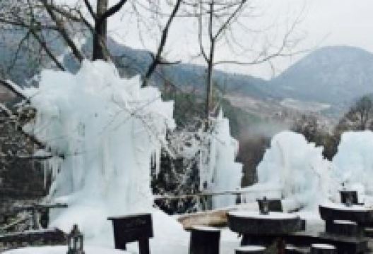 Salas Krajinka美食图片