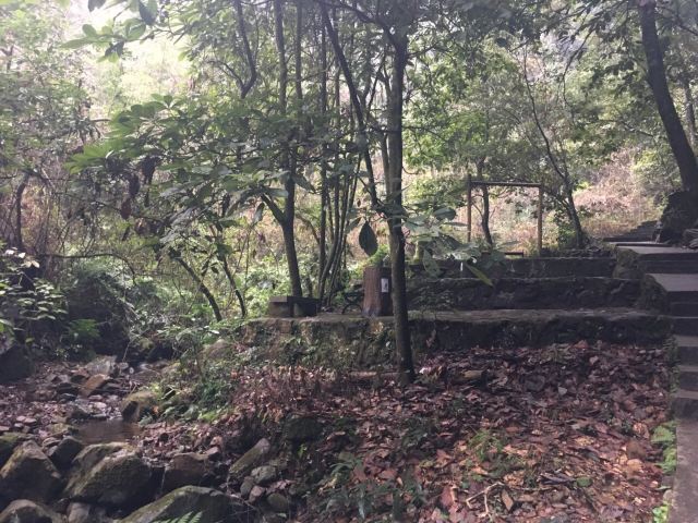 첸다오 비징