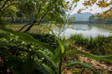 黔灵山公园-贵阳-YoYo_4J2M1B7M